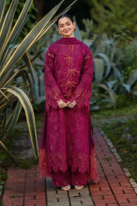 RR-2810 Lawn Unstitched Chicken Kari Embroidered Shirt With Printed Organza Dupatta (4 Sides Lace)