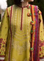 Unstitched Heavy Embroidered Dhanak Suit ( Printed Woolen Shawl )