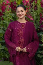RR-2810 Lawn Unstitched Chicken Kari Embroidered Shirt With Printed Organza Dupatta (4 Sides Lace)